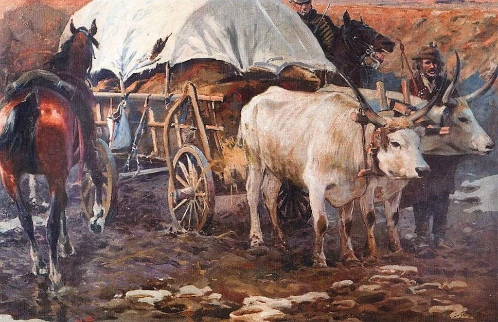 Soldati in Transivania - Muzeum Okręgowe w Tarnowie, dettaglio